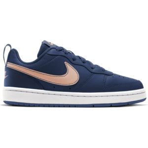 Nike Court Borough Low 2( BQ5448-401)