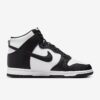 Nike Dunk High Next Nature(FV5960-101)