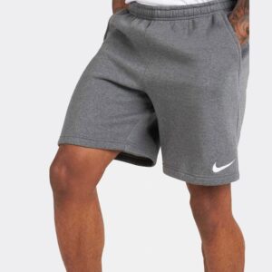 Nike Team Park 2 (CW6910-071)