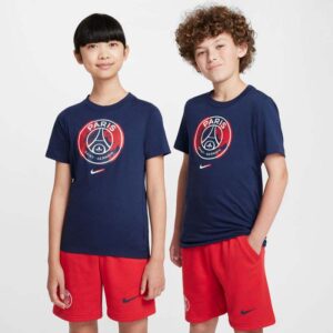 Nike Paris Saint Germain T-Shirt (HQ8397-010)