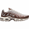 Nike Air Max Plus 'Light Orewood Brown Dark Pony’ (II7637-200)