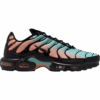 Nike Air Max Plus South Beach (DM0032-022)