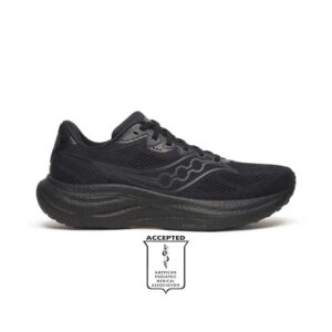 Saucony Ride 19 Men's Shoes (S21055-101)