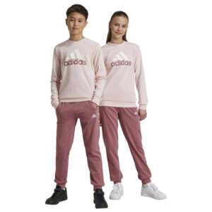 Adidas Παιδικές φόρες σετ Big Logo French Terry Tracksuit (IY5432)