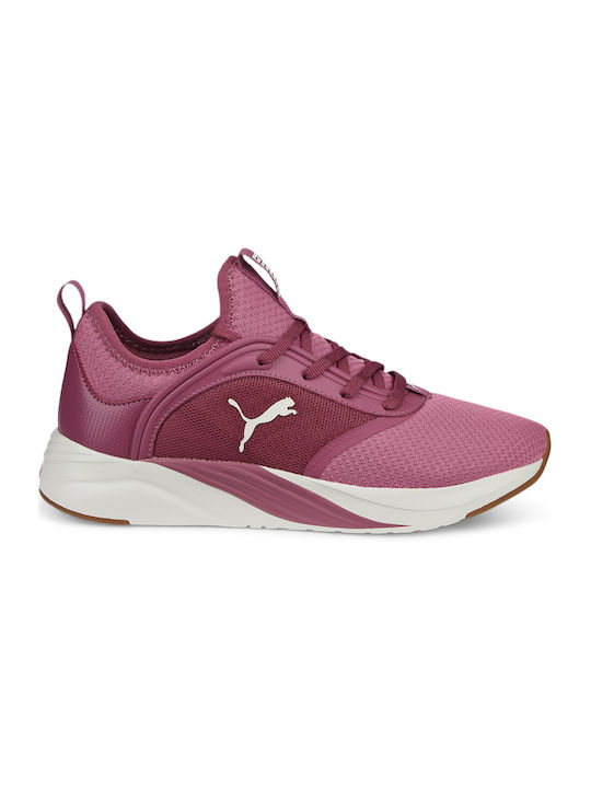 PUMA Softride Ruby Γυναικεία Αθλητικά Παπούτσια Running Μωβ(377050-04)